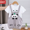 Imported Baby Kids 3D Panda Shirt with Dungaree Romper (6 Months–4 Years)