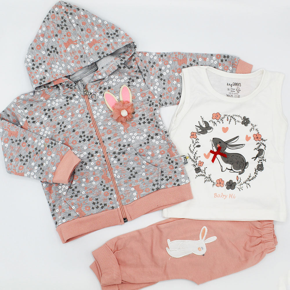 Kids Winter Terry Cute Rabbit 3 Pcs Hoodie Full Sleeves Stylish Dress for 12 Months - 4 Years
