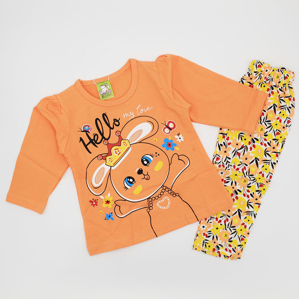 Baby Girl Love Bunny Full Sleeves Dress for 3-9 Months