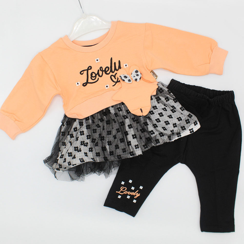 Baby Girl Winter Terry Lovely Embroidered 3D Bow Full Sleeves Frock Dress for 3 Months - 3.5 Years